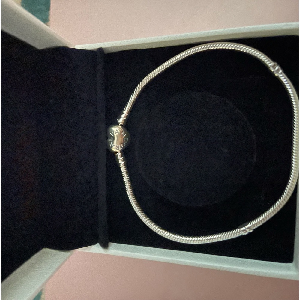 Pandora charm bracelet.